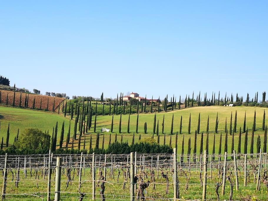 Castello Di Fulignano Ottone Superior Apartment サン・ジミニャーノ エクステリア 写真